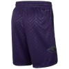 Homme New Orleans Pelicans Shorts 2024-25 Nike City Edition Swingman